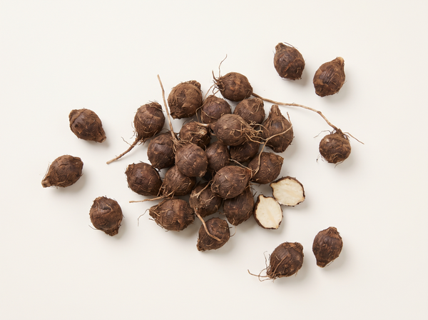 Cyperus Rotundus Oil
